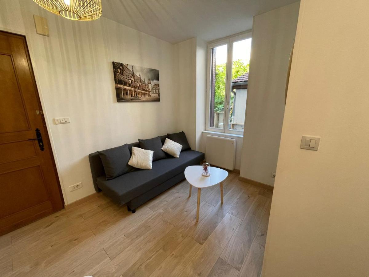 Apartment Cosy Entier, Parking Gratuit Dans La Rue Dijon